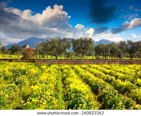 Agricultural land on the southern coast of Sicily. Italy, Europe.