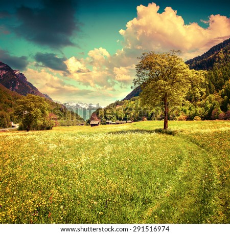 Alpine meadows near the village of Bondo. Alps, Switzerland. Retro style.