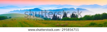 Panorama of the summer morning in the foggy Carpathian mountains. Borzhava ridge, Transcarpathian, Ukraine, Europe.