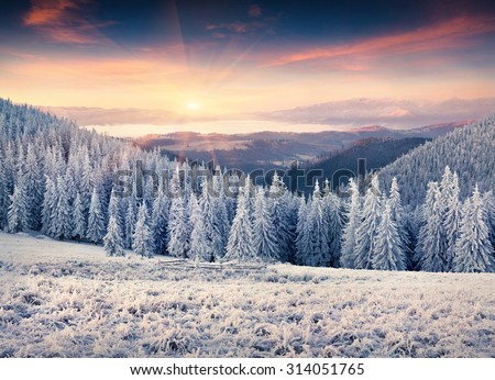Colorful winter sunrise in the Carpathian mountains. Kostrycha ridge, Ukraine, Europe.