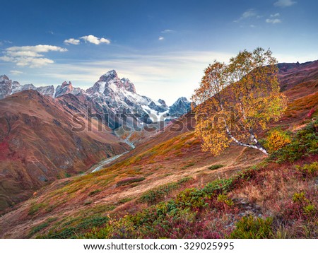 Colorful autumn morning in the Caucasus mountains. Upper Svaneti, Ushba mountain, Main Caucasus ridge, Georgia, Europe. October 2015.