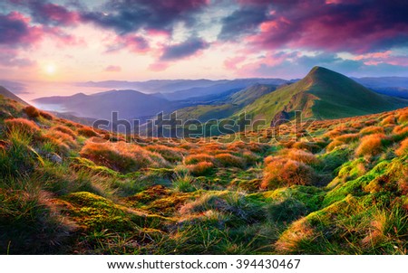 Cozy morning scene in the mountain. Rolling hills and foggy valley glow under warm sunlight. Sunrise in Carpathians, Ukraine.