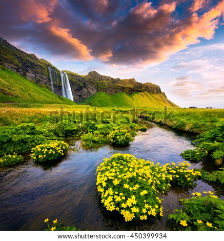 Morning view of Seljalandfoss Waterfall on Seljalandsa river in summer. Colorful sunrise in Iceland, Europe. Artistic style post processed photo.