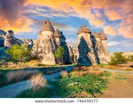 Magic fungous forms of sandstone in the canyon near Cavusin village, Cappadocia, Nevsehir Province in the Central Anatolia Region of Turkey, Asia. Beauty of nature concept background.