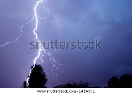 Lightning strike, silhouette of a tree in the foreground