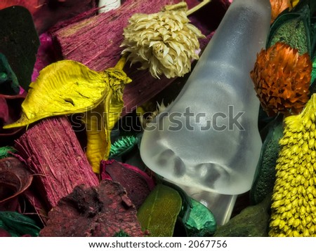 A vase of dry leaves with aroma with a plastic model nose