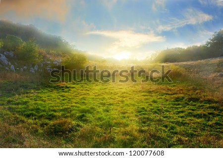 Sunset on the green field with grass and trees