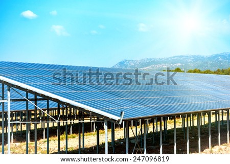 Many solar panels that produce green, environmentally friendly energy