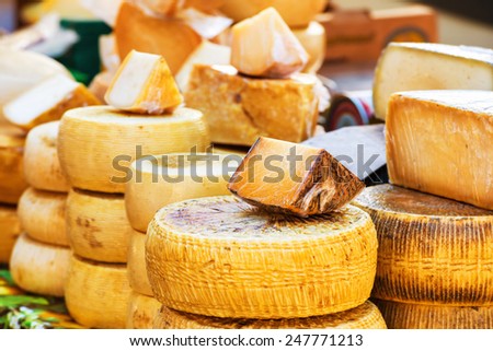 Different sorts of farm made italian cheese produced from goat milk