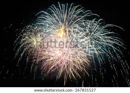 Red and purple colorful holiday fireworks on the black sky background.