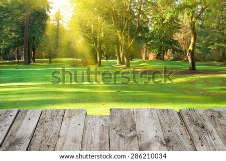 View from wooden surface to green park with trees. Lawn in under sunny light