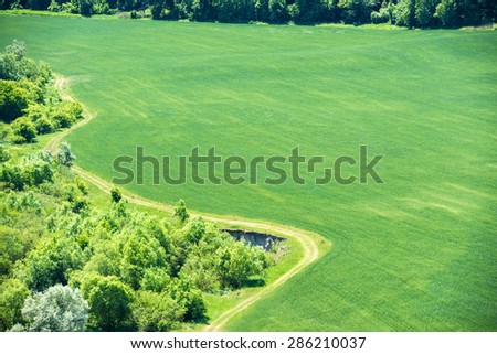 Green field of wheat with nearby forest and country road passing by