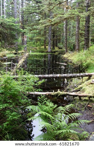 Alaskan Pond