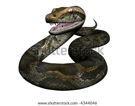 3d Illustration Of A Python - 4344046 : Shutterstock