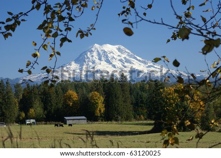 Mt. Rainier towers over a pasture in Washington State