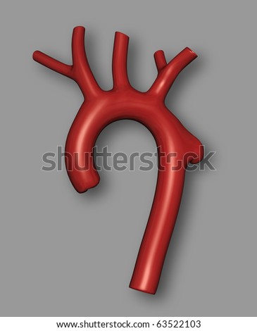 how long does rain surgery brain aneurysm coiling. how long does rain surgery