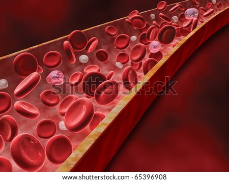 Blood Cells Flowing through Artery, White Cells, Plasma Cells