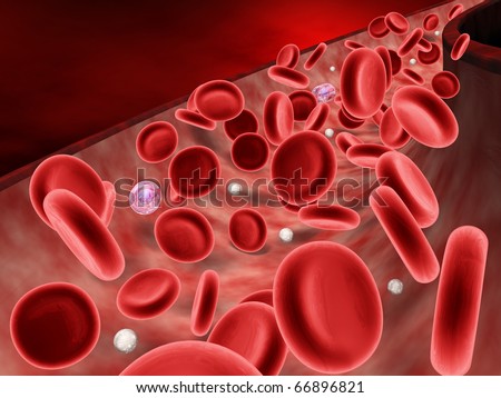 Blood Cells, White Cells and Plasma Cells Flowing through an Artery.