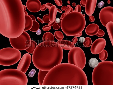 Red Blood Cells, White Blood Cells, Plasma Cells on a Black Background