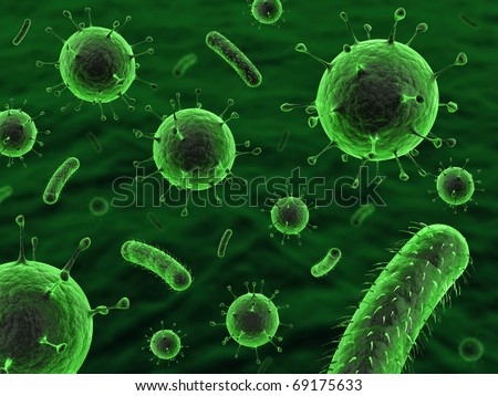 bacteria and viruses