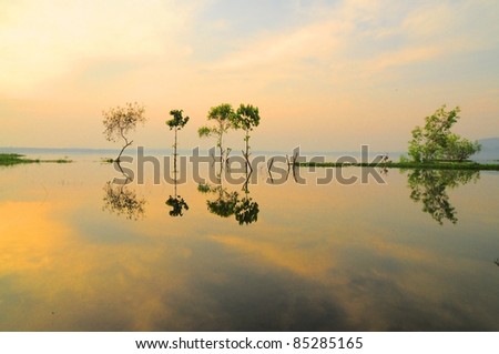 land scape refection