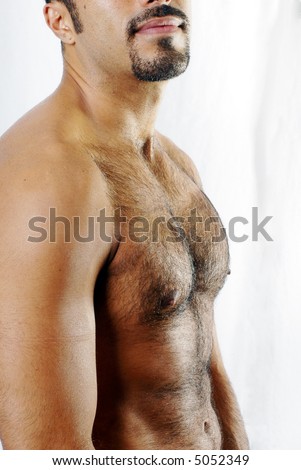 Defined Hairy Chest