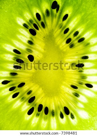 abstract kiwi