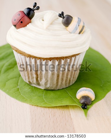 اروع تشكيلة لمحبي الكاب كيك Stock-photo-bee-ladybug-cup-cake-13178503