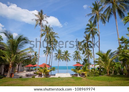 Two rows of tall palm trees, red umbrellas by the pool overlooking the sea. The tropical landscape from the hotel.