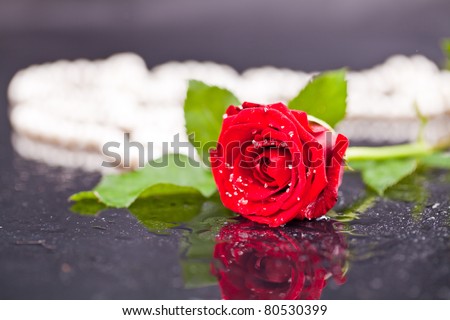 flowers up close on a black background with pearls, drops of water, roses, gerbera