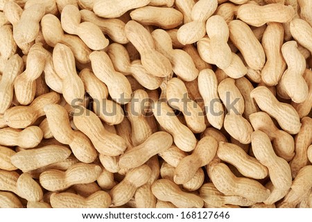 Peanuts in shell texture background