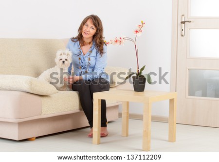 Little dog maltese sitting with his owner on the sofa in home