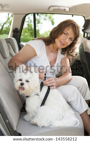 Owner of the dog attaching safety leash to harness to make a journey safe