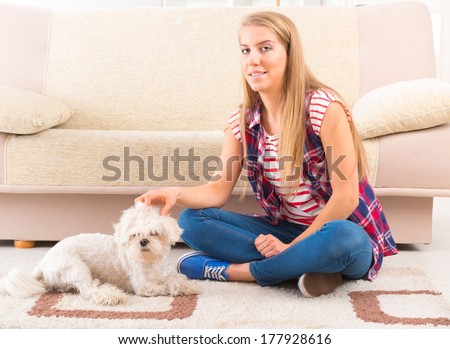 Little dog maltese laying with his owner on the floor in home