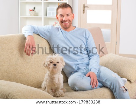Little dog maltese sitting with his owner on the sofa in home