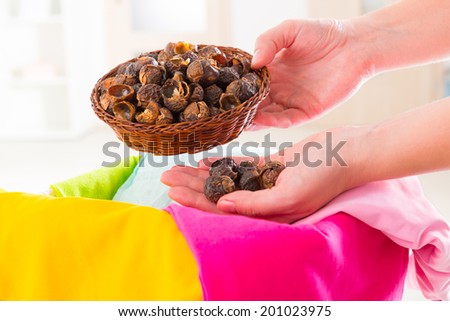 Woman\'s hands holding a basket full of soap nuts