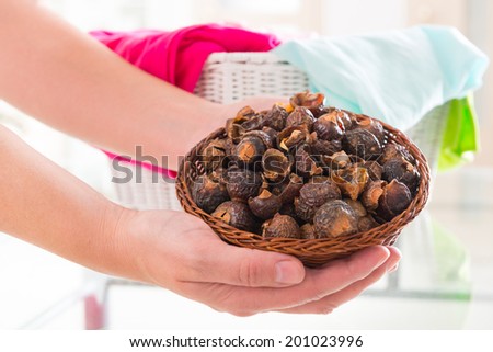 Woman\'s hands holding a basket full of soap nuts