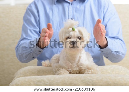 Man doing Reiki therapy for a dog, a kind of energy medicine.