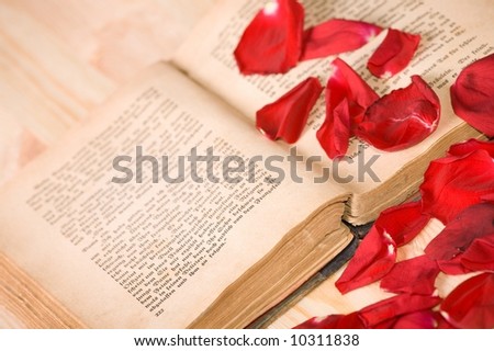 Very old book (AD 1902) and roses petals on wooden table