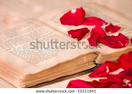 Very old book (AD 1902) and roses petals on wooden table