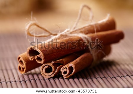Cinnamon sticks bound with string