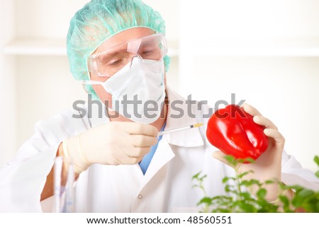 Researcher holding up a GMO vegetable. Genetically modified organism or GEO here transgenic plant is an plant whose genetic material has been altered using genetic engineering techniques