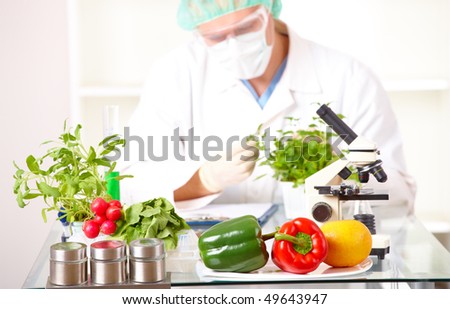 Researcher with GMO plants. Genetically modified organism or GEO here transgenic plant is an plant whose genetic material has been altered using genetic engineering techniques. Focus is on plants.