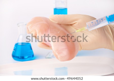 Researcher injecting GMO chicken meat. Genetically modified organism or GEO here transgenic plant is an plant whose genetic material has been altered using genetic engineering techniques