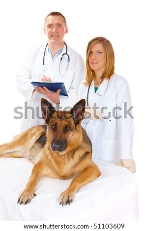 Vet and assistant examining dog, isolated on white. Focus is on the dog.