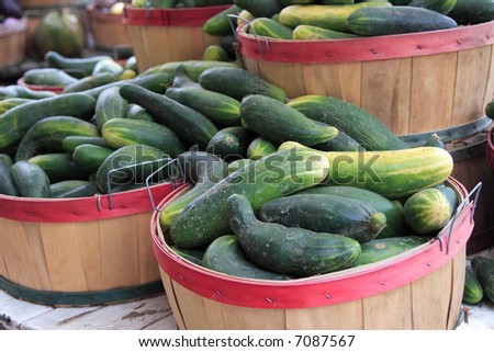 Fresh picked cucumbers in baskets at a road side farm stand
