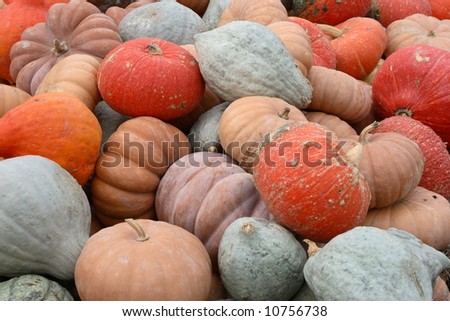 Stack of squash and mini pumpkins at a road side farm stand
