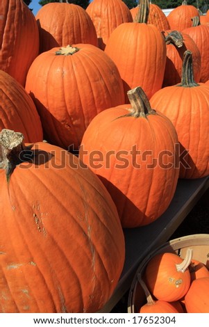 Pumpkins at a roadside farm stand