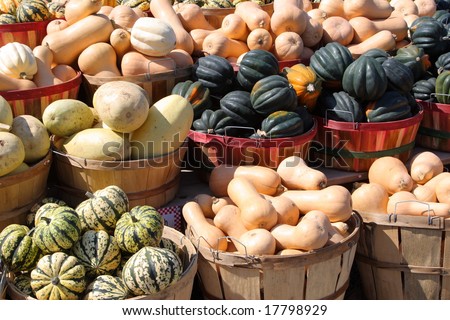 Autumn squash at a farm stand
