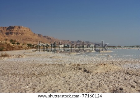 Dead sea hotel area